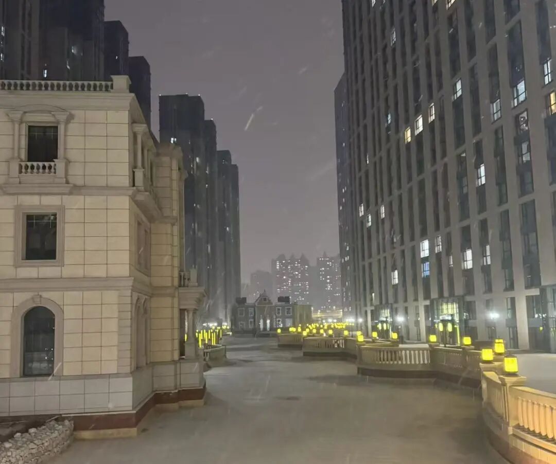 逐梦前行，向阳而生|回顾大体协本周做了什么